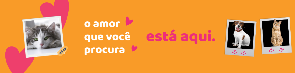 banner3